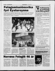 Síða 19