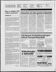 Síða 2
