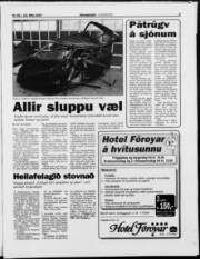 Síða 3