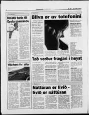 Síða 6