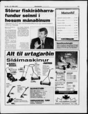 Síða 11