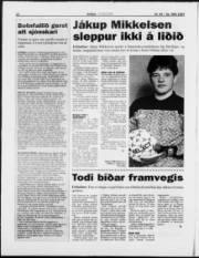 Síða 12