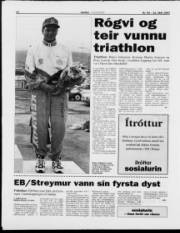 Síða 14