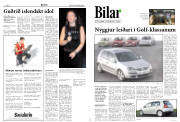 Síða 8