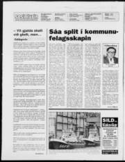 Síða 2