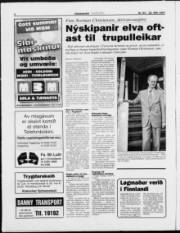Síða 6