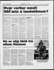Síða 17