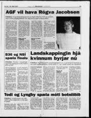 Síða 19