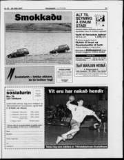 Síða 21