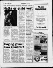 Síða 3