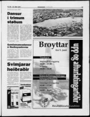 Síða 13