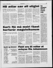Síða 25