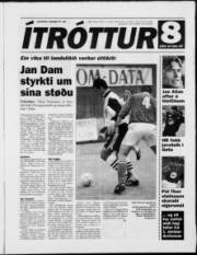 Síða 11