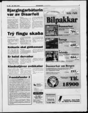 Síða 3