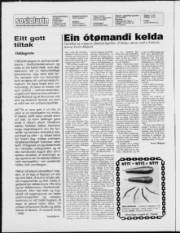 Síða 2