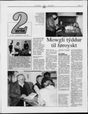 Síða 13