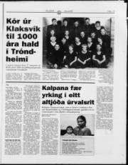 Síða 19