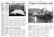 Síða 5