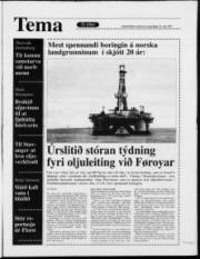 Síða 33