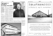 Síða 8