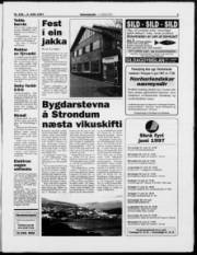Síða 3