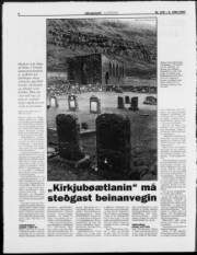 Síða 6