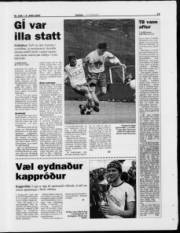 Síða 15