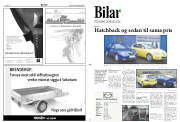 Síða 10