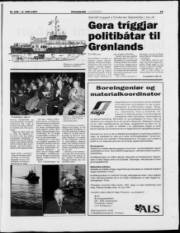 Síða 19
