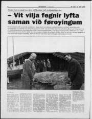 Síða 8