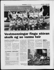 Síða 12