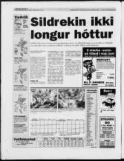 Síða 28