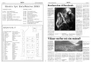 Síða 14