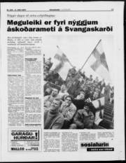Síða 17