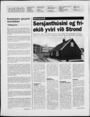 Síða 2