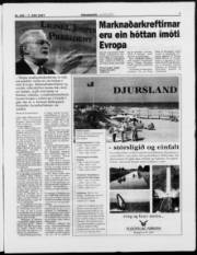 Síða 7