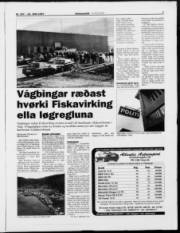 Síða 7
