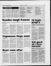 Síða 17