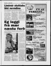 Síða 3