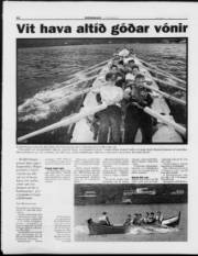 Síða 12