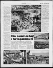 Síða 6
