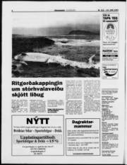 Síða 8