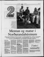 Síða 13