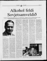 Síða 19
