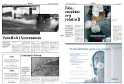 Síða 2