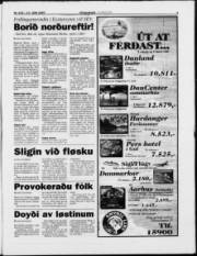 Síða 3