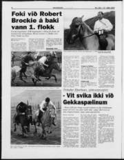 Síða 6
