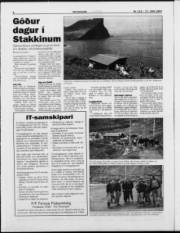 Síða 8