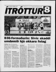 Síða 11