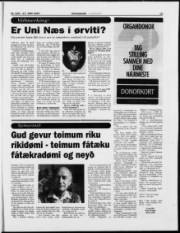 Síða 19